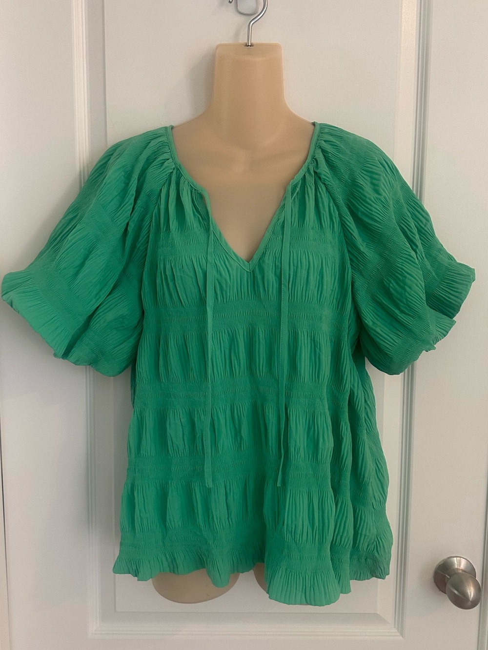 Hudson Gray Spring Green Puff Sleeve Pleated Tie-Neck Blouse